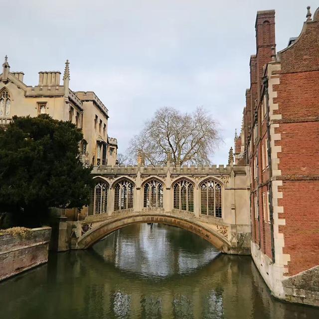 �����W�y�����ȡ�l������Щ�������W�������������٣�