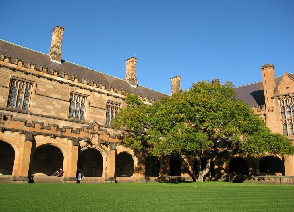 �|����W�ж��y����W�l������Щ�����M�˜���ô�ӣ�