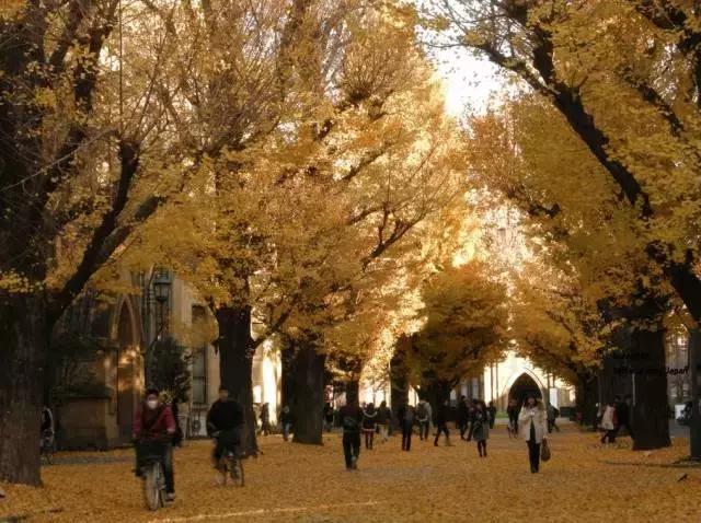 �|����W���������ڎ��ǁ��޵�һ�᣿�|����W�ж�ţ����Щ����