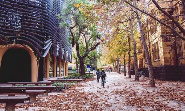 ī������W��ô�����������ڎ����؇��J�ɶȸ߆���