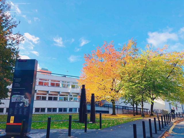 ����˹�ش�W��Ո�l������Щ�y�ȴ�᣿���݌��I����Щ�W�M�Ƕ���