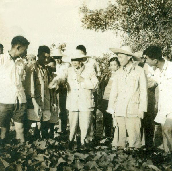 南京農業(yè)大學實力強嗎?為了211去南農值得嗎?排名第幾?學費多