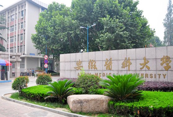 安徽醫科大學實力怎么樣?是985嗎?排名第幾?就業前景如何?