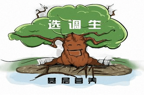公務員和選調生的區別你知道嗎?為什么老師不建議考選調生原因