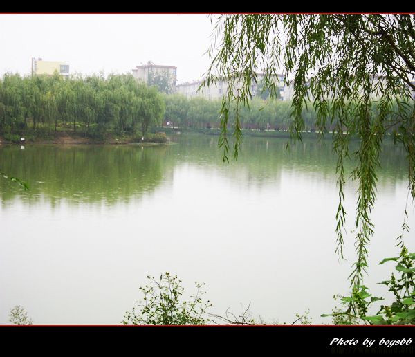 達(dá)州哪個(gè)高中最好揭秘中學(xué)排行前五名?達(dá)州中學(xué)和達(dá)一中哪個(gè)好?