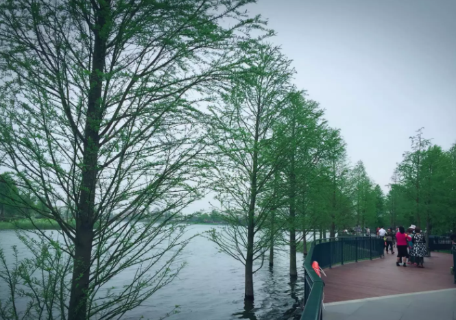 Ů��ȥӢ����Wֵ�Æ�һ��30�f��᣿Ӣ���x�л؇��Ѓ��݆᣿