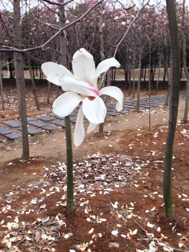 ȥ�n����Wһ��20�f��᣿���ظ��n��W��Ո�l���؇���þ͘I����