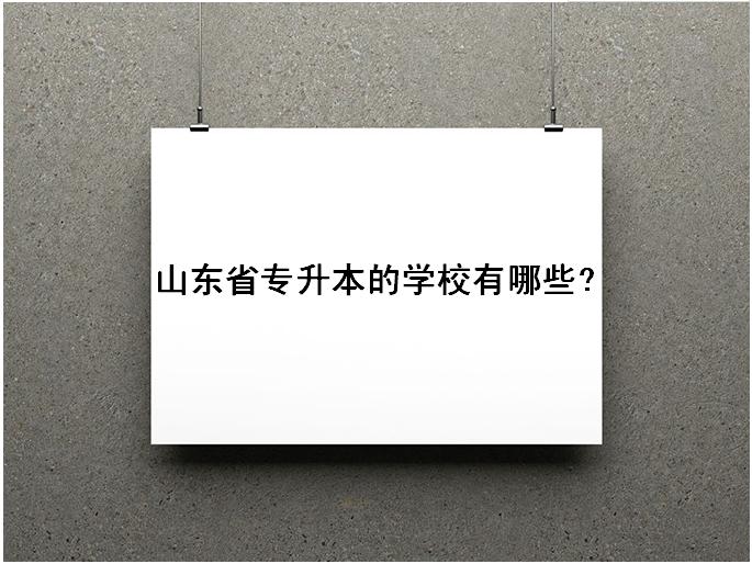 山東省專升本的學(xué)校有哪些可以選擇?山東專升本率最高學(xué)校是哪所