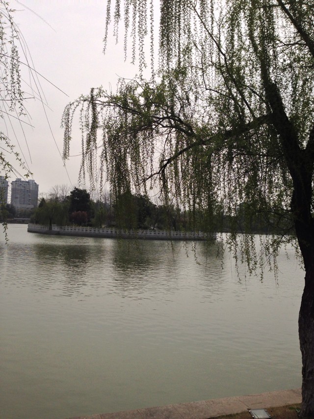 清華博士含金量高嗎就業(yè)很困難嗎?清華本科瞧不起研究生是真的嗎?