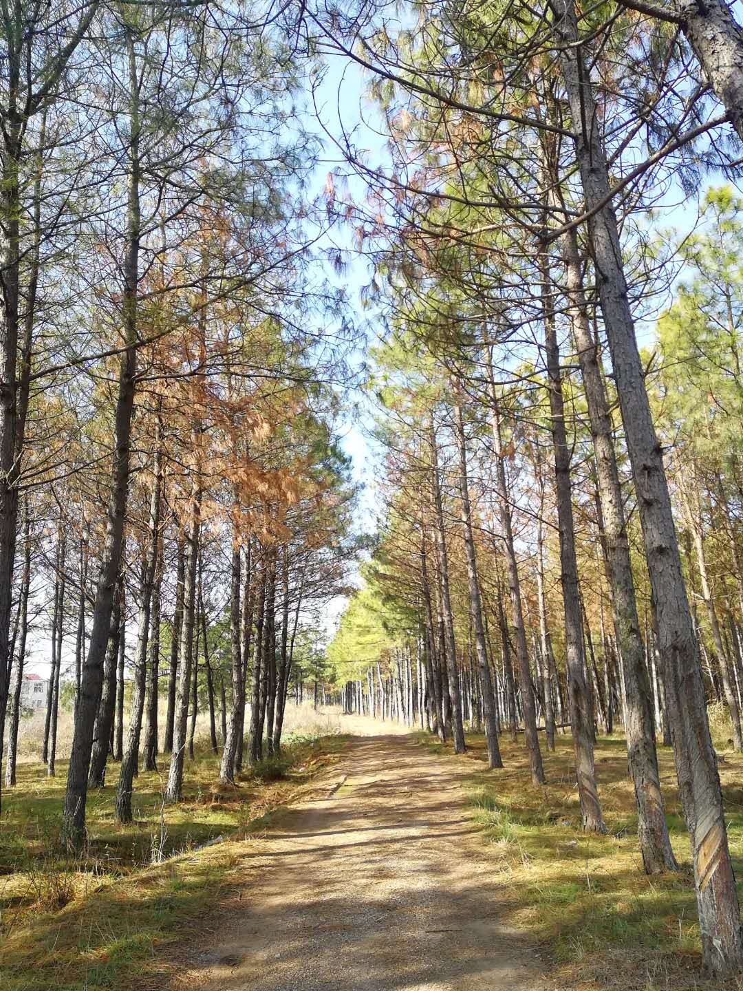 ����]�X��ô������W?ȥ�ć���W�����?�P�c�]�X�����Ď׷N;��