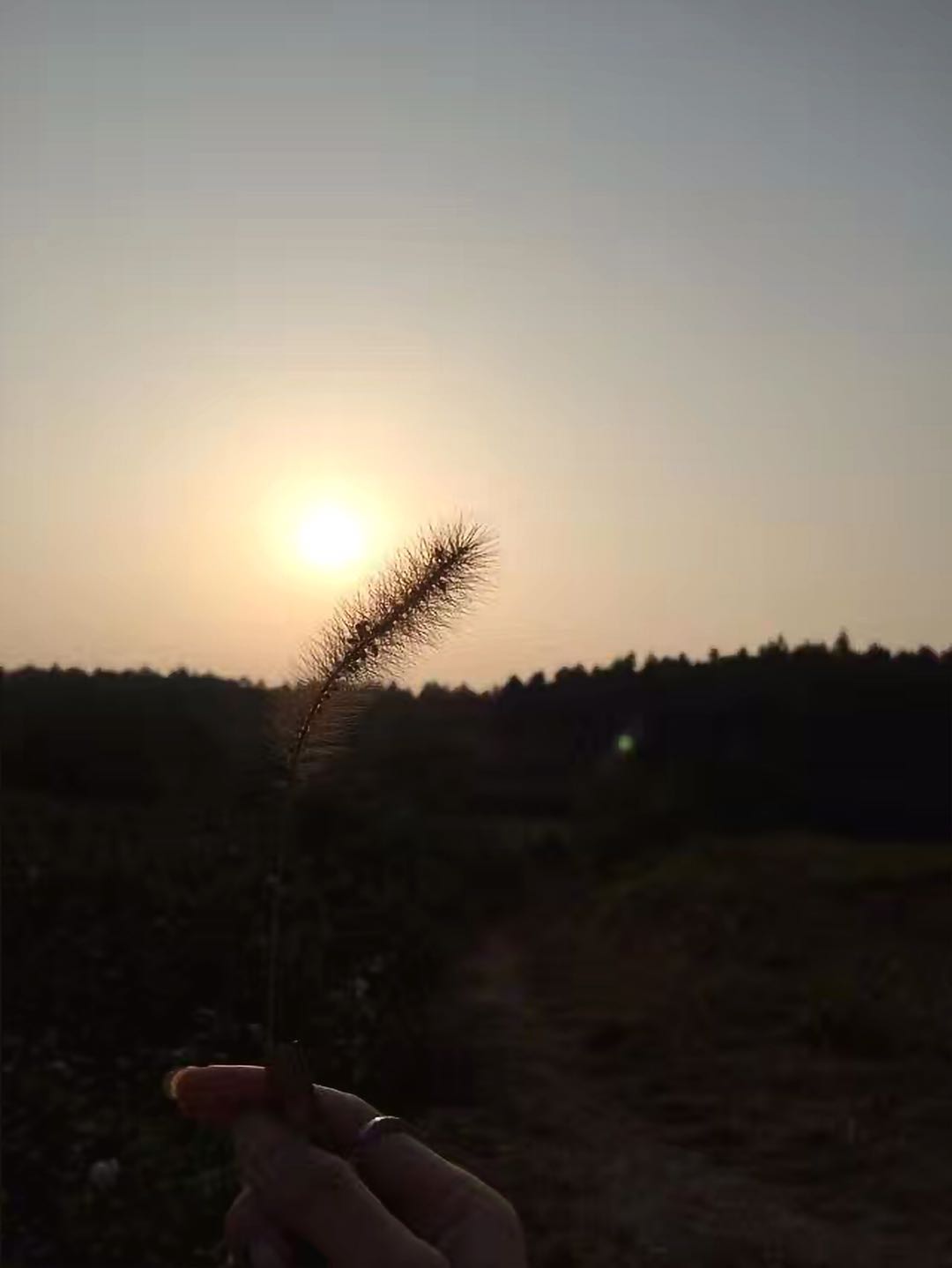 士官學(xué)校一般上幾年?畢業(yè)包分配嗎?有什么工作可以做?