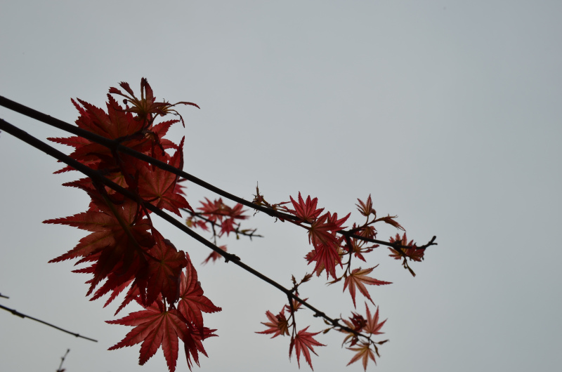 新東方高三補(bǔ)課價(jià)目表揭秘?新東方高三一對(duì)一有用嗎收費(fèi)貴不貴?