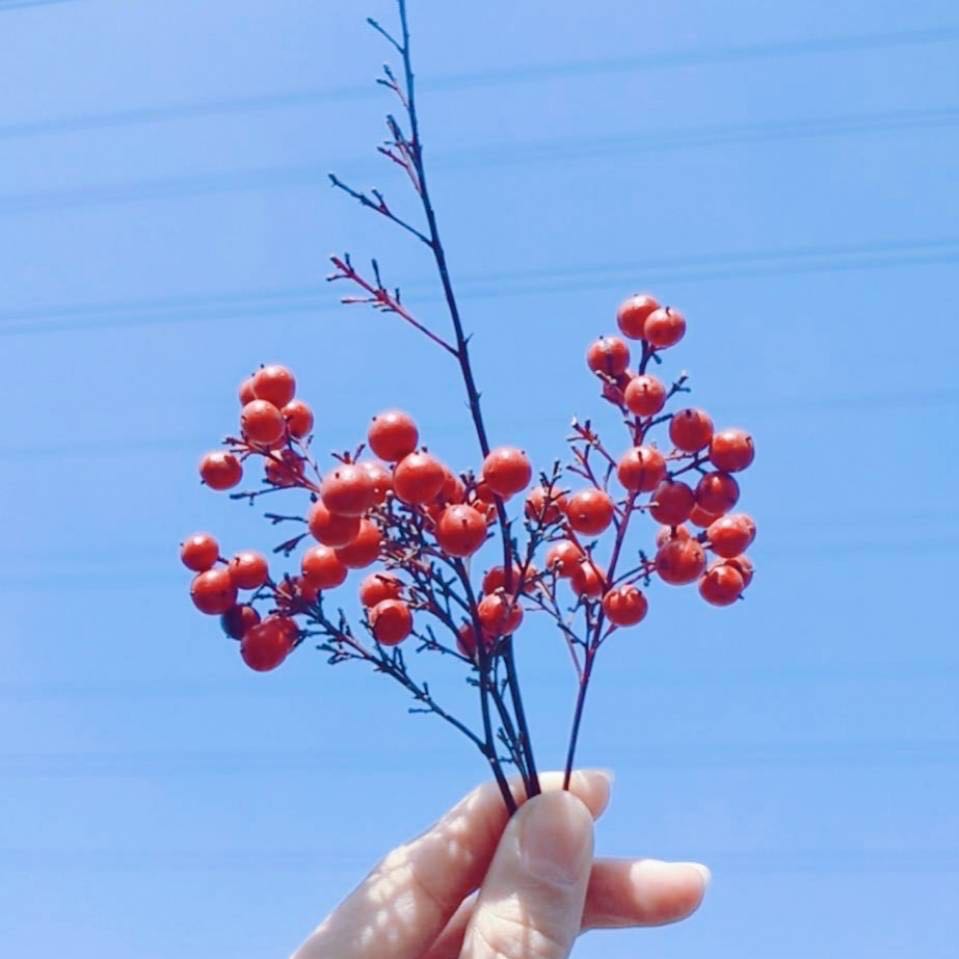 計算機(jī)屬于工學(xué)還是理學(xué)?工學(xué)和理學(xué)有什么區(qū)別?計算機(jī)有哪些專業(yè)