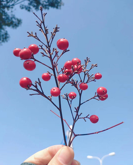 淘寶客服沒經(jīng)驗能干嗎?需要什么學歷?淘寶客服的工作內容介紹