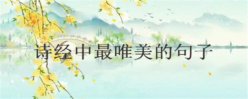 30句詩經(jīng)中最唯美的句子大盤點你中意哪句?句句美到窒息!