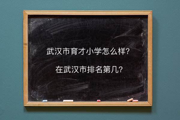武漢市育才小學怎么樣在武漢排名第幾?難進嗎對口的中學是哪一所