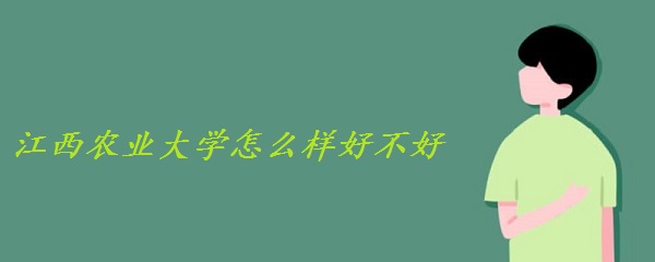 r(nng)I(y)W(xu)ôӺòʲônΣȫ(gu) W(xu)u(png) W(wng)u(png)r(ji)