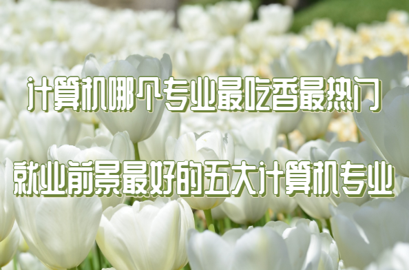 Ӌ(j)C(j)Ă(g)I(y)T ͘I(y)ǰõӋ(j)C(j)I(y)