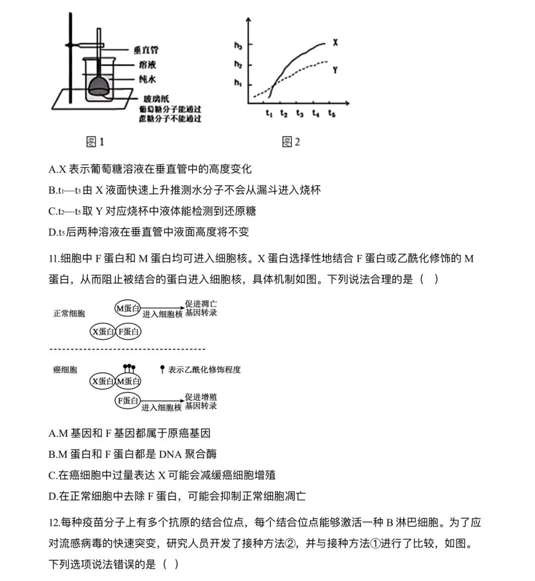 2025ؑc¸߿ԇ}𰸽c(din)}ͼֲֵ