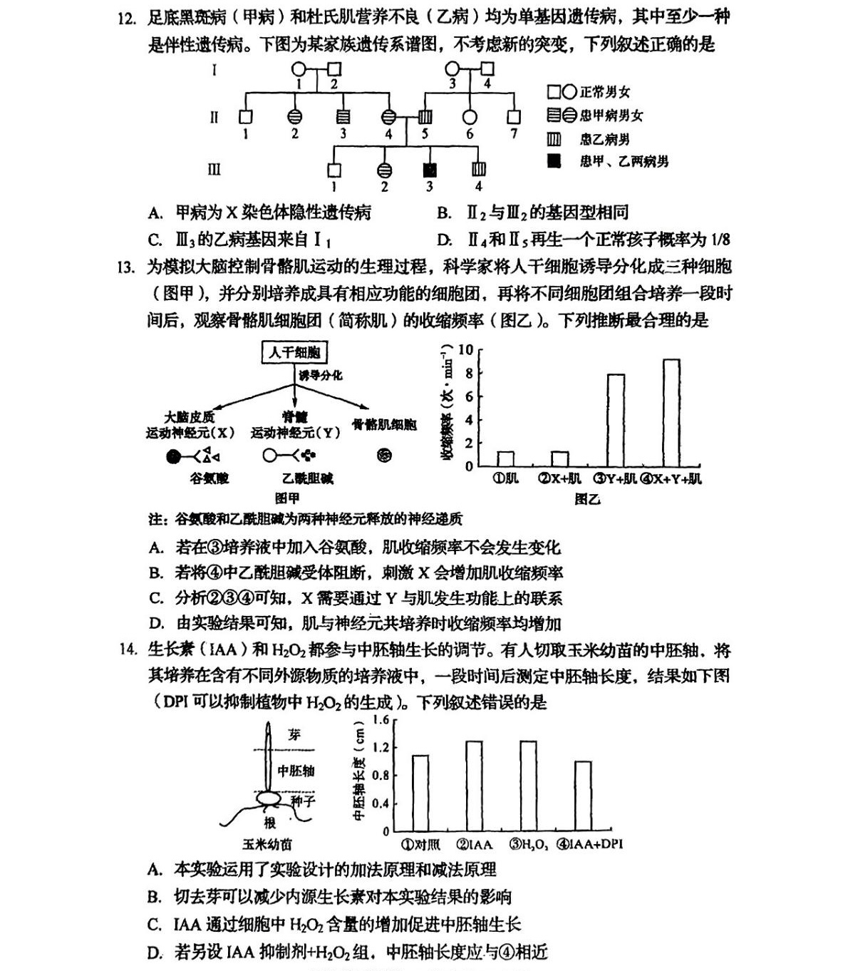 1762502010397886.jpg 2025四川新高考生物試卷真題及答案解析,附考點(diǎn)題型及分值分布