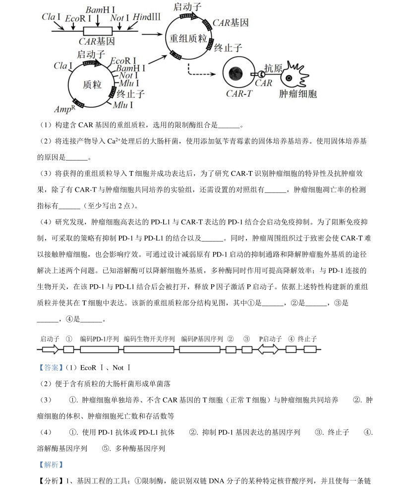 2025V¸߿ԇ}𰸽c}ͼֲֵ