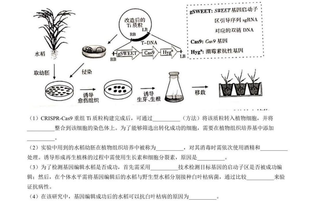 1764232271782981.jpg 2025甘肅新高考生物試卷真題及答案解析,附考點題型及分值分布