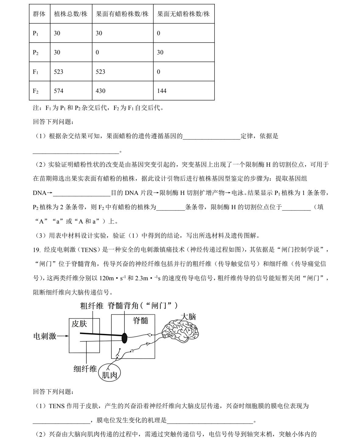 2025�����¸߿�����ԇ�����}���𰸽����������c�}�ͼ���ֵ�ֲ�