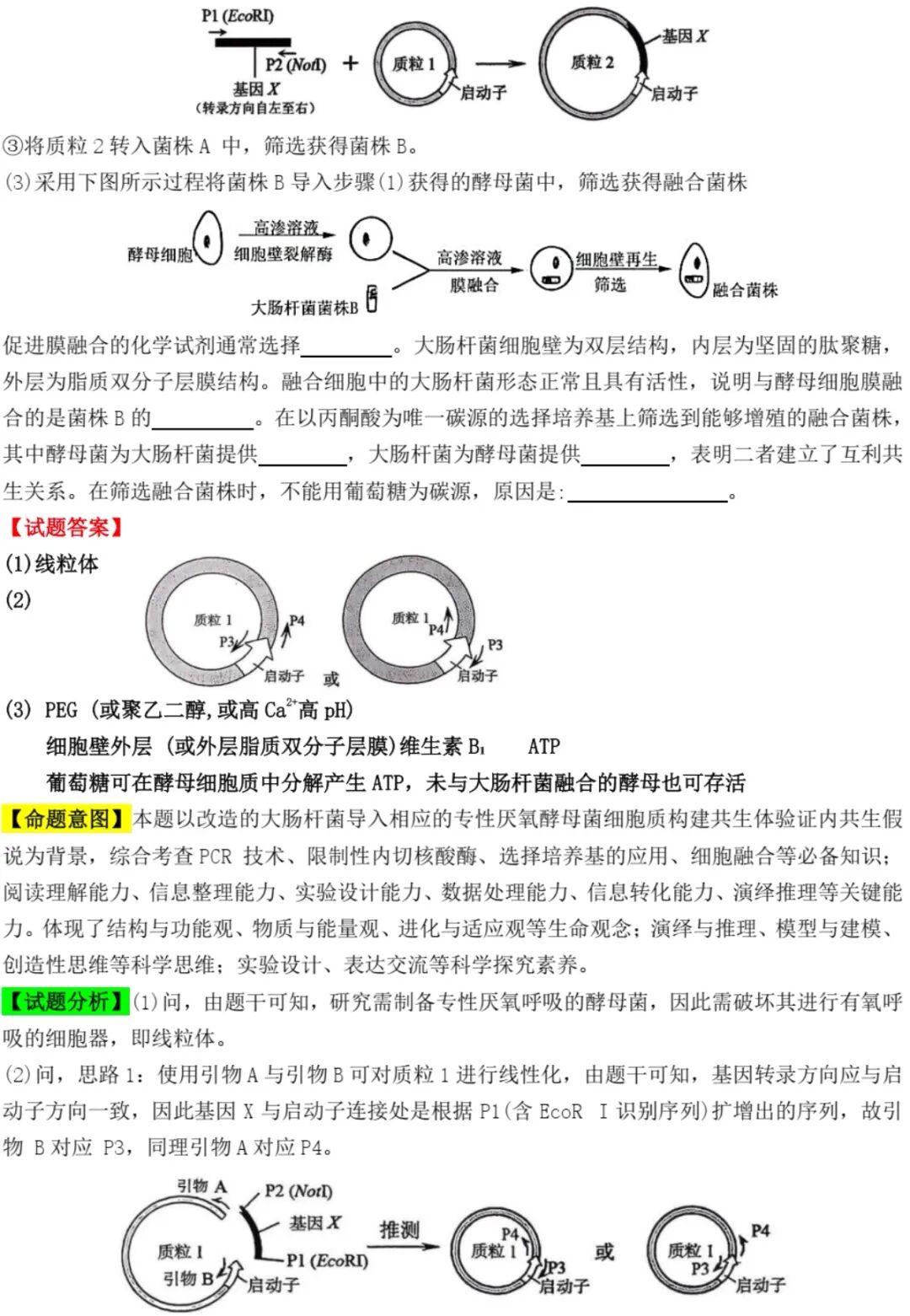 2025����¸߿�����ԇ�����}���𰸽����������c�}�ͼ���ֵ�ֲ�