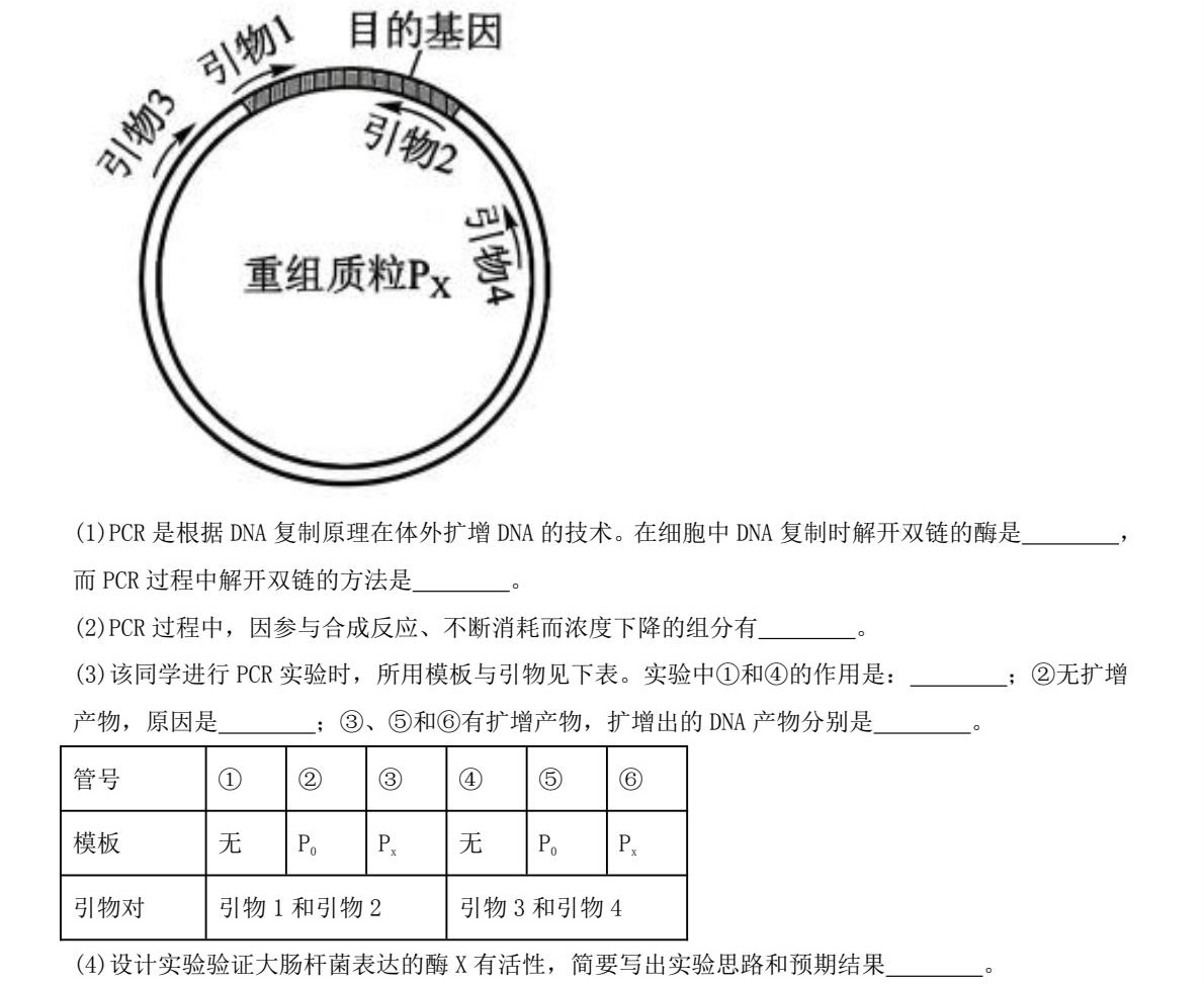 2025��߿�ȫ�����n�����C���������}���𰸽������½�+���أ��������c�}�ͼ���ֵ�ֲ�